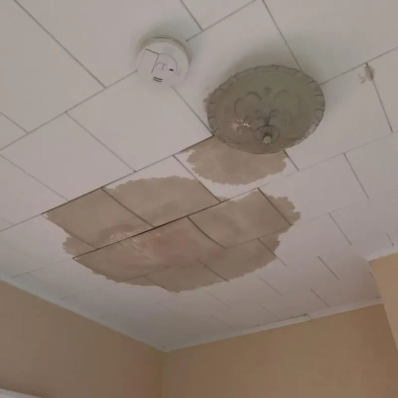 Ceiling Water Damage Repair in Pittsboro, IN