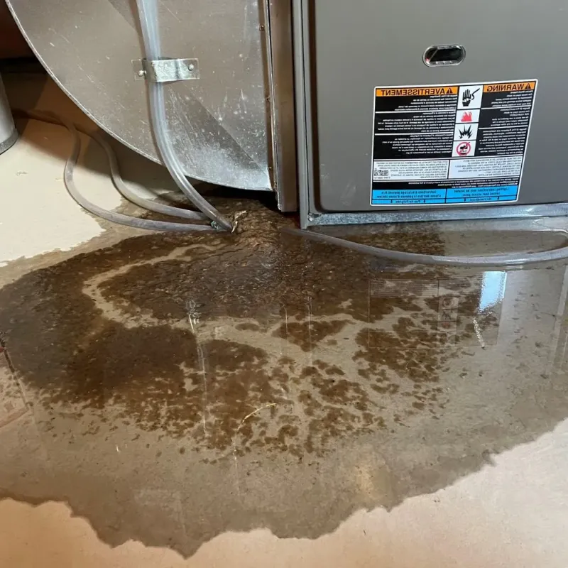 Pipe Burst and Leak Restoration in Pittsboro, IN