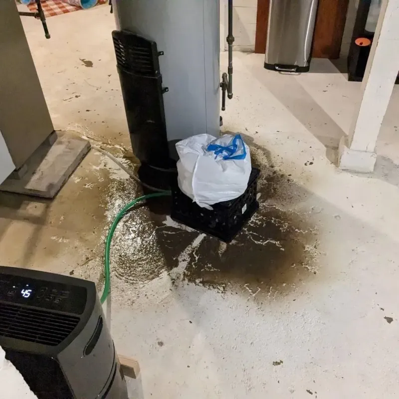 Sewage Backup Cleanup Service in Pittsboro, IN